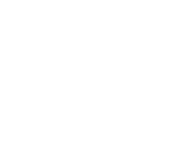 Evolution games at Bo Vegas Casino